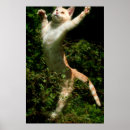 Suche nach kätzchen kunst Tabby