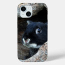 Suche nach kaninchen iphone hüllen Hase