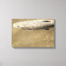 Suche nach forellen leinwandbilder Fisch