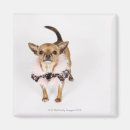 Suche nach teacup magnete Tiere