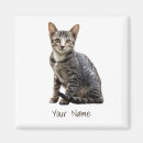Suche nach vintage katze magnete Haustier