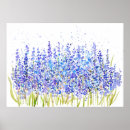 Suche nach hyazinthen poster Natur