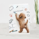 Suche nach labradoodles karten Haustier
