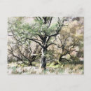 Suche nach waldlandschaft postkarten Natur