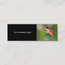 Suche nach kolibri visitenkarten Wild lebende tiere