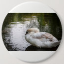 Suche nach wasservögel buttons Schwan