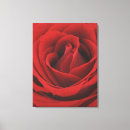 Suche nach zuneigung leinwandbilder Liebe