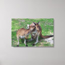 Suche nach känguru kunst Tiere