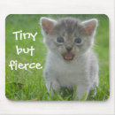 Suche nach heftig mousepads Lustige katzen