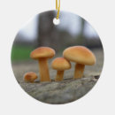 Suche nach rollstuhl ornamente Pilze