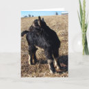 Suche nach dobermann karten Schwarz
