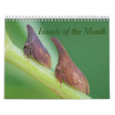 Suche nach insekten kalender Natur