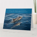 Suche nach delphine karten Ozean