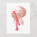 Suche nach menschlicher hals poster Biologie