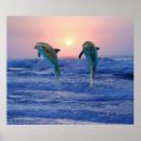 Suche nach sonnenaufgang poster Natur