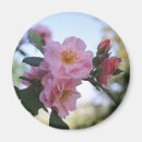 Suche nach single rose magnete Rosen