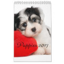 Suche nach welpen und kalender Hunde