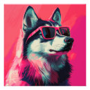 Suche nach husky poster Hund