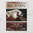 Suche nach roter panda einladungen Rotes panda party
