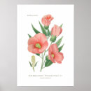 Suche nach vintage botanik poster Floral