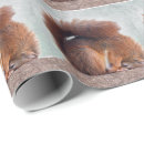 Suche nach das nagetier geschenkpapier Eichhörnchen