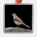 Suche nach spottdrossel ornamente Vogel