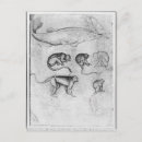 Suche nach pisanello poster Zeichnend