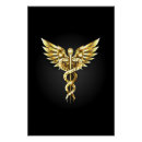 Suche nach caduceus poster Medizinisch