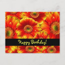 Suche nach orange gerbera alle karten Griechen
