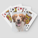 Suche nach bretagne spielkarten Hunde
