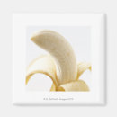 Suche nach bananen magnete Nahrung
