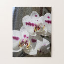 Suche nach weiße orchideen puzzle Foto