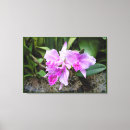 Suche nach orchids leinwandbilder Zuhause