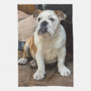 Suche nach bulldogge geschirr tücher Haustiere