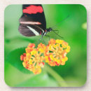 Suche nach profil wohnen zuhause Blume