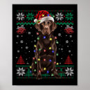 Suche nach schokolade labrador poster Lustig