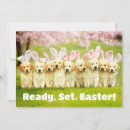 Suche nach lustiges ostern einladungen Avanti press