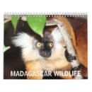 Suche nach umwelt kalender Tiere