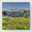 Suche nach colorado wanduhren Wildflower