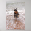 Suche nach miniatur kunst poster Schnauzer