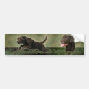 Suche nach schokoladen labrador autoaufkleber Jagd