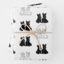 Suche nach maggi Maggie ross hunde