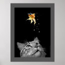 Suche nach verrückte katzen poster Cool