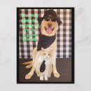 Suche nach dicke katzen postkarten Spaß