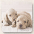 Suche nach kein haar untersetzer Tier