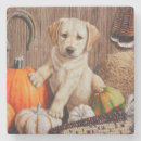 Suche nach labrador untersetzer Herbst