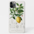 Suche nach zitrone iphone hüllen Botanisch