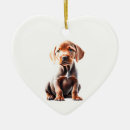 Suche nach vizsla ornamente Welpe