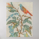 Suche nach aviary poster Tiere