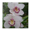 Suche nach orchideen fliesen Elegant